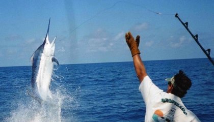 教你钓鱼的未必钓的一手好鱼